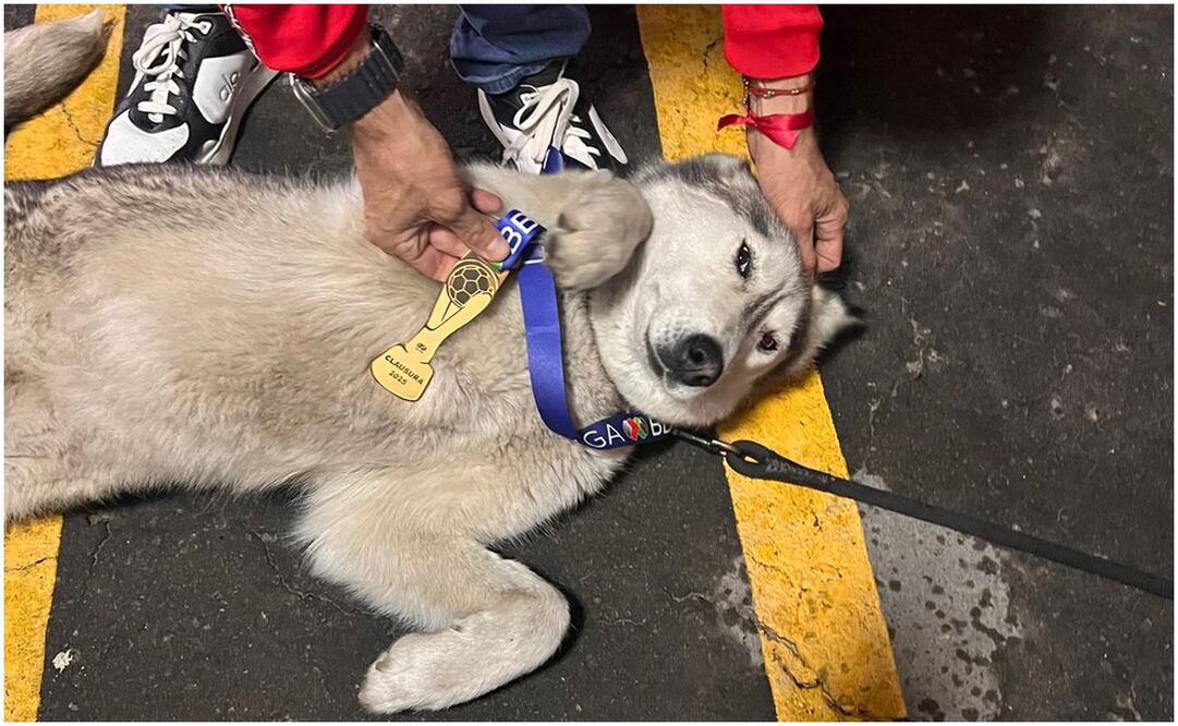 'Once', la mascota de la suerte pata Toluca Foto: @vicandres8