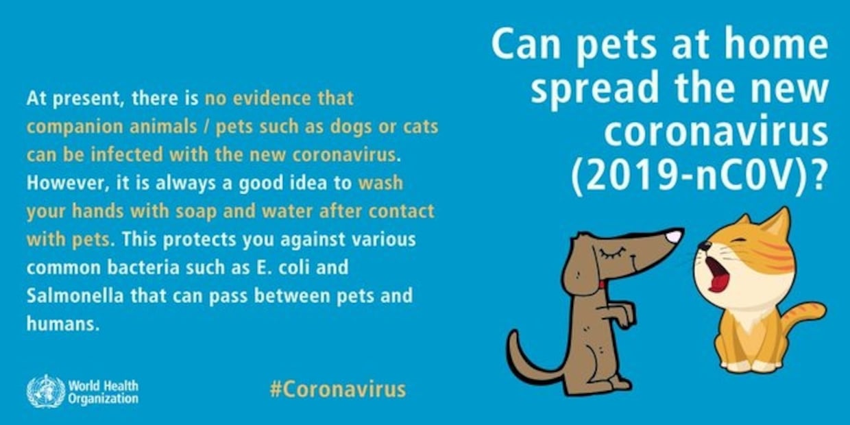 10 noticias falsas que se viralizaron sobre el coronavirus 
