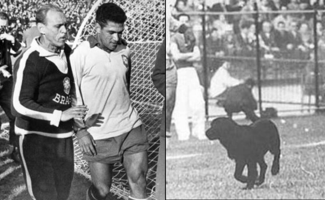 La curiosa historia de Garrincha y el perrito que adoptó tras el Mundial de 1962. FOTOS: AP / Especial