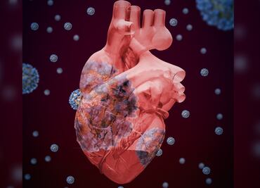 ¿Cómo afecta al corazón la Covid-19?