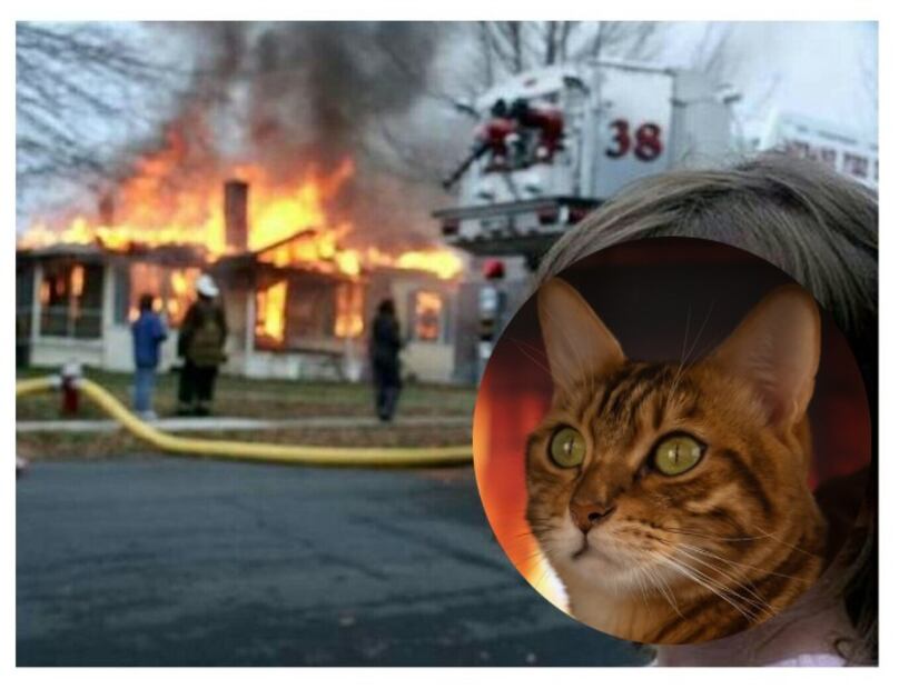 Tu gato podría incendiar tu casa, advierten bomberos de Corea del Sur
