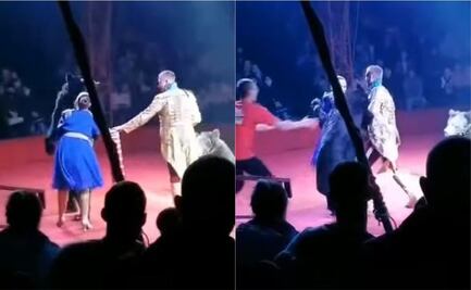 Video de oso que ataca a mujer embarazada en show de circo se viraliza