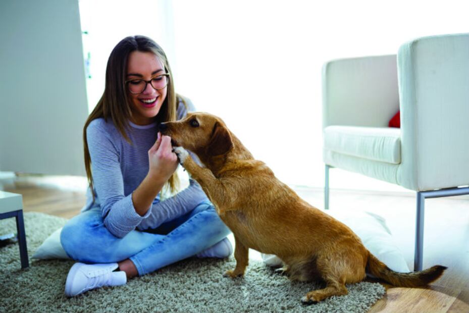 Cuida Mi Mascota, la app para dejar a tu amigo peludo en buenas manos 