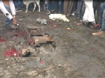 El cruel Festival de Gadhimai, el mayor sacrificio de animales en el mundo