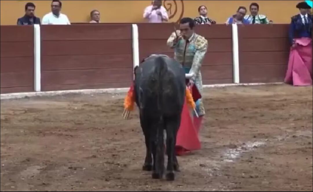 Emilio Macías se disponía a matar cuando fue embestido por el toro 'Faraón'. FOTO: Captura