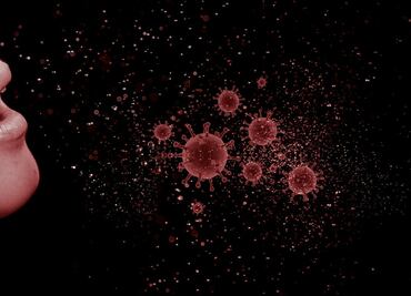 Covid-19 y 5 brotes de enfermedades contagiosas que surgieron en 2020