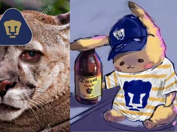 Tigres vs Pumas: la afición auriazul se manifestó con MEMES ante la clasificación al Play-In