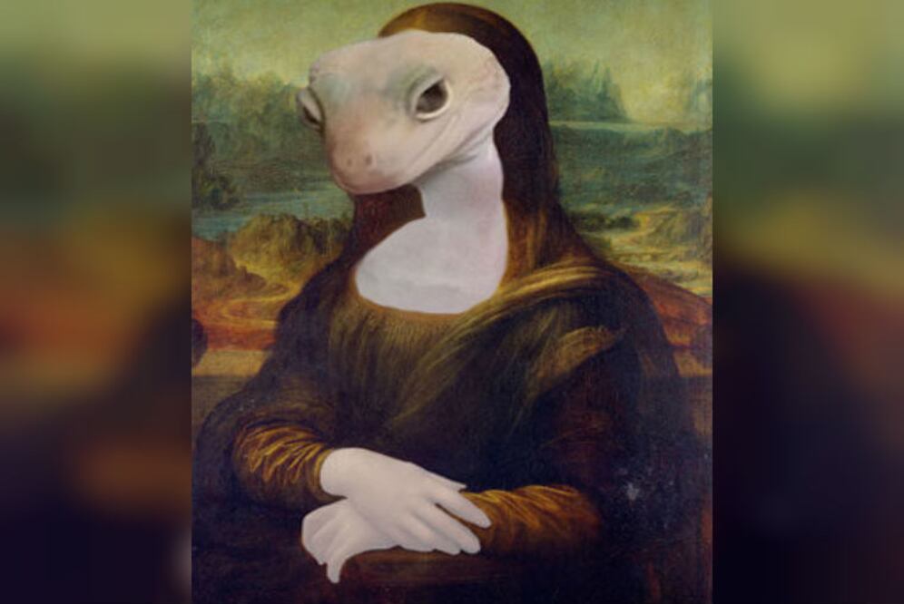 ¿Qué esconde la sonrisa de este pequeño? Nunca lo sabremos. (Foto: Quinn Kleinhans/BoredPanda)