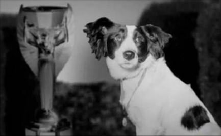 El perro que salvó el Mundial; la increíble historia de Pickles, el héroe de Inglaterra 1966
