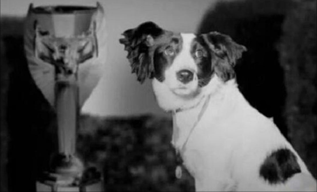 El perro Pickles, héroe del Mundial 1966 / Foto: Especiales