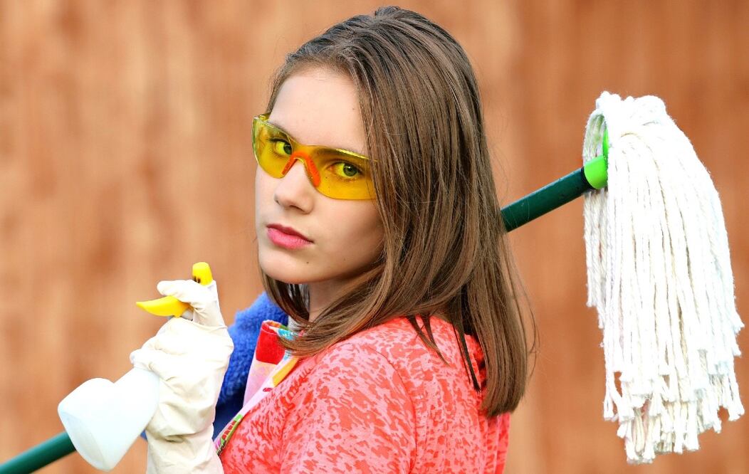 Foto: Pixabay Sergey Klimkin