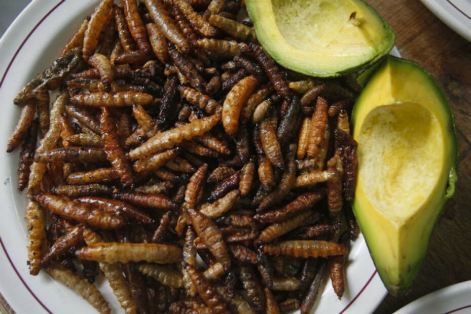 Las 20 cosas maravillosas que solo México posee