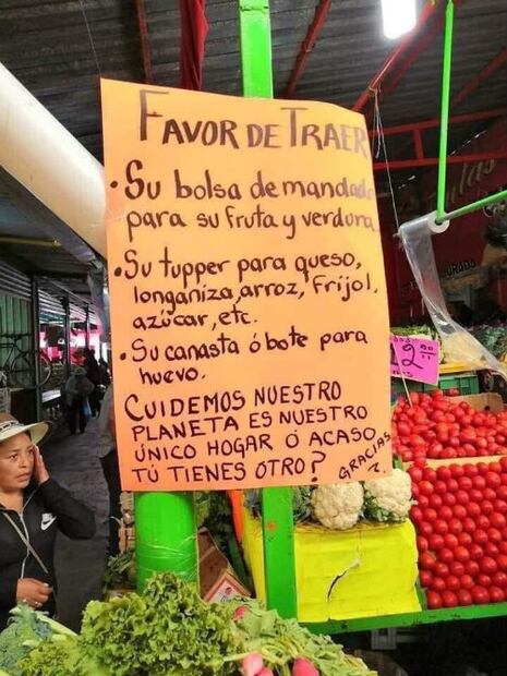 10 sencillos cambios en tu vida para ayudar al medio ambiente
