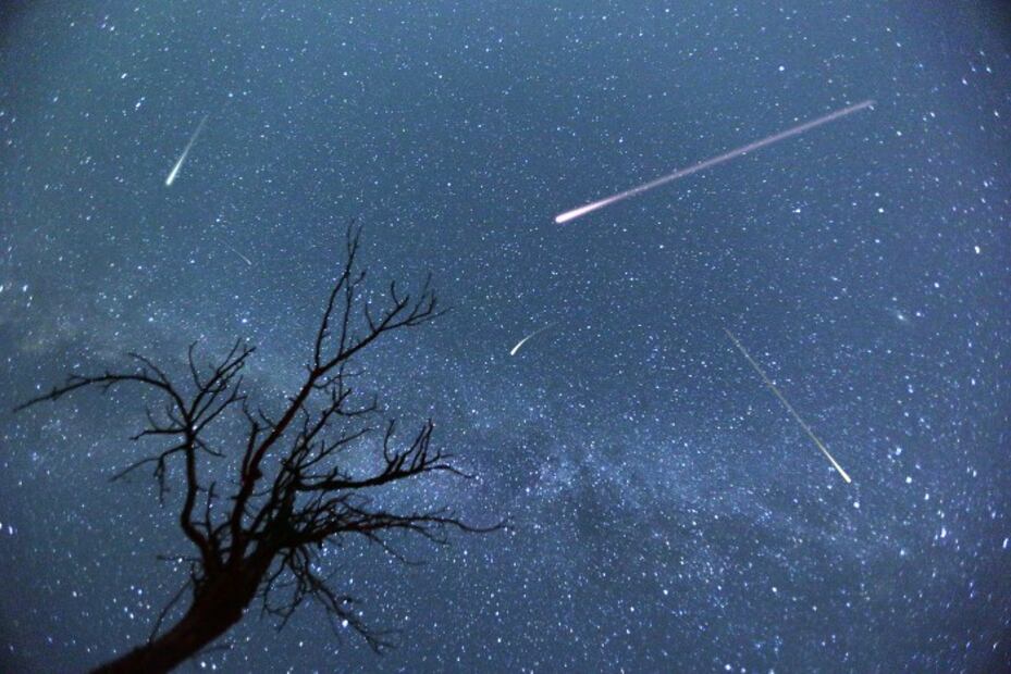 ¿Cuándo y cómo ver la lluvia de estrellas Líridas 2022 en México?