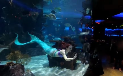 Sabina Rose, la sirenita de la vida real que trabaja en un acuario