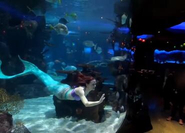 Sabina Rose, la sirenita de la vida real que trabaja en un acuario