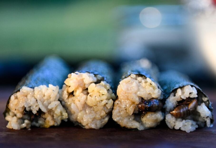 Sushi de cigarras, el crujiente manjar que NO querrás probar