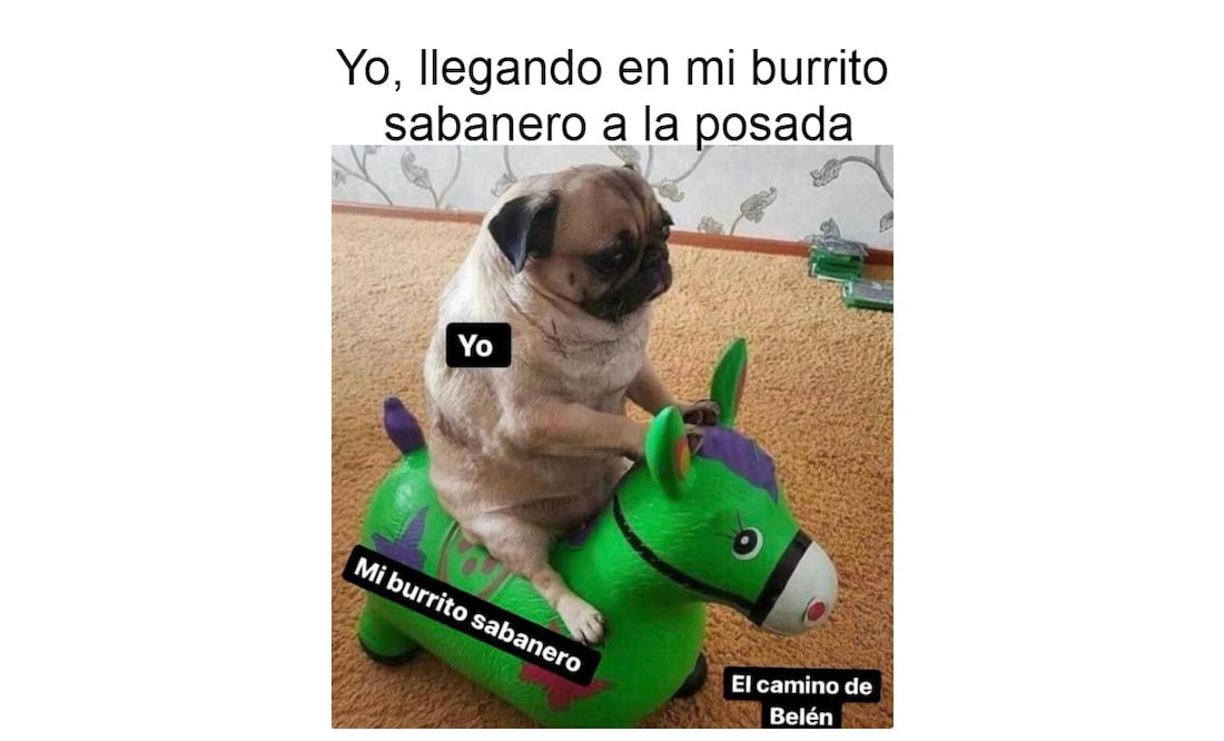 Foto: Redes Sociales