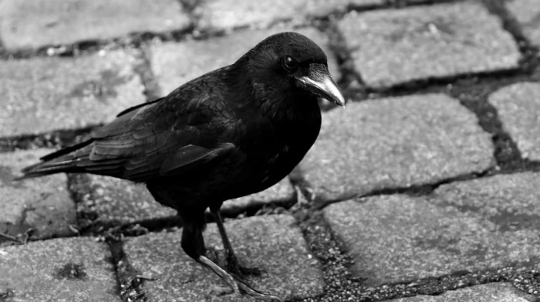 10 personajes aterradores en los relatos de Edgar Allan Poe 