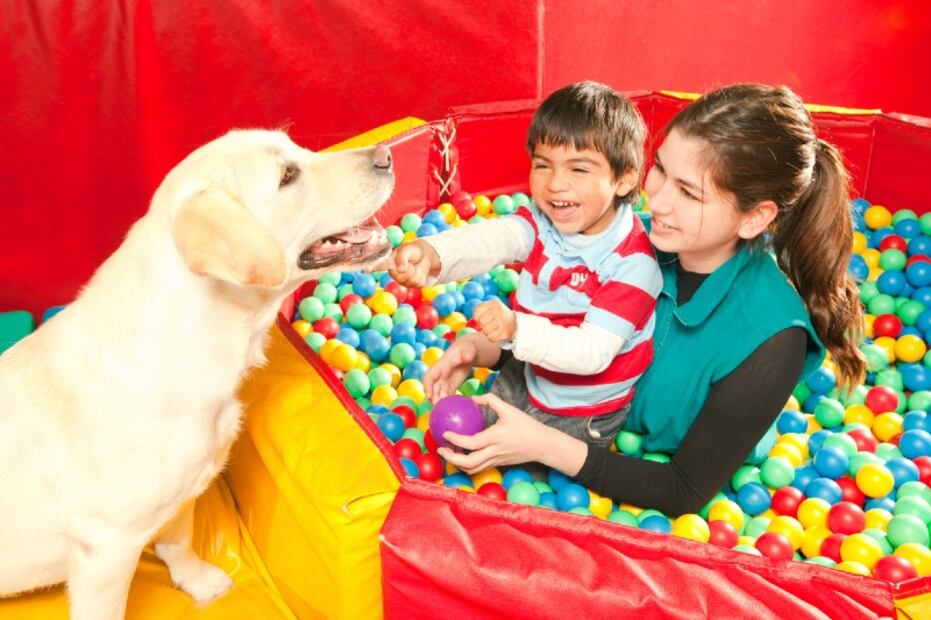 Así es el entrenamiento de los perros de asistencia para personas con autismo