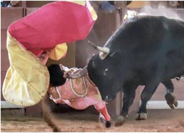 Torero sufrió grave cornada en el cráneo en corrida de Tlaxcala, usuarios de redes se burlan y lo festejan