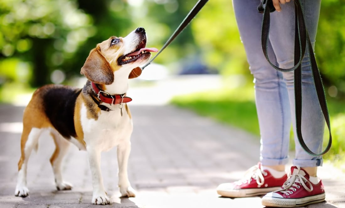 Foto: iStock