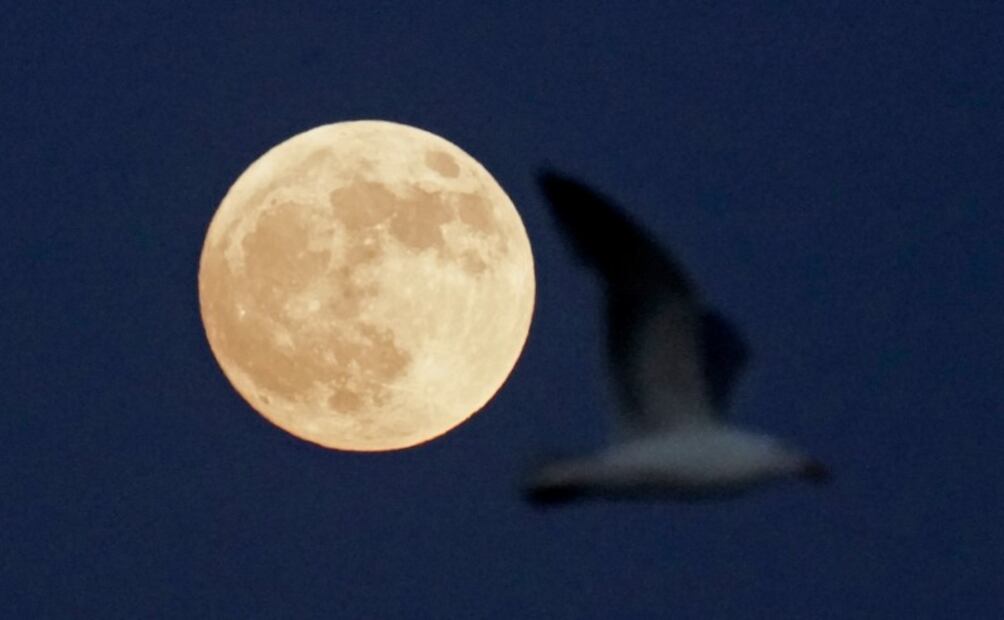 Así se vio la Superluna de fresa en el mundo