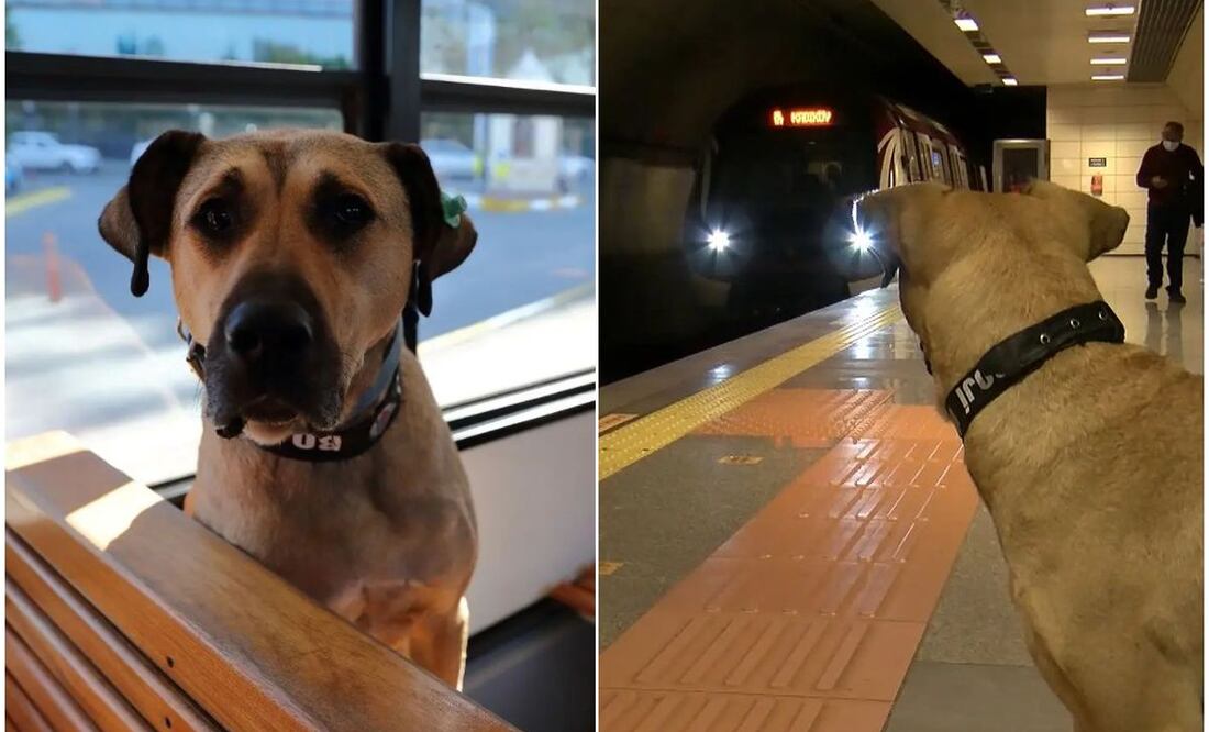 Foto: Instagram @boji_ist