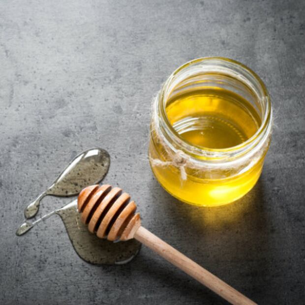 10 remedios naturales para tu perro que hay en casa y ni lo sabías