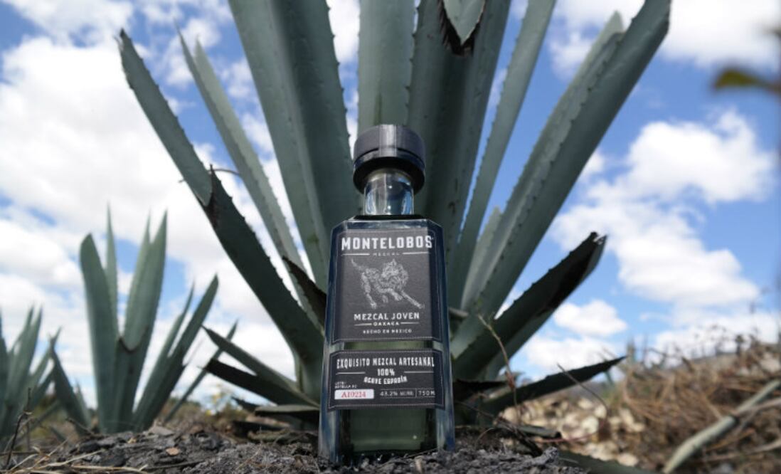 Imagen Mazcal Montelobos