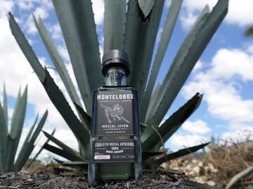 El mezcal y su relación con el mundo prehispánico