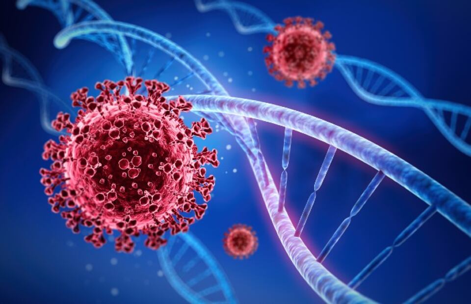 Más de 10 países han confirmado casos de Covid con variante ómicron