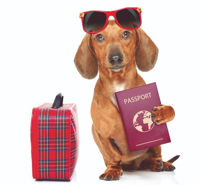 Los 10 pasaportes que te abren las puertas del mundo