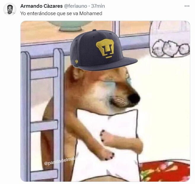 Los memes que dejó la salida de Mohamed de Pumas