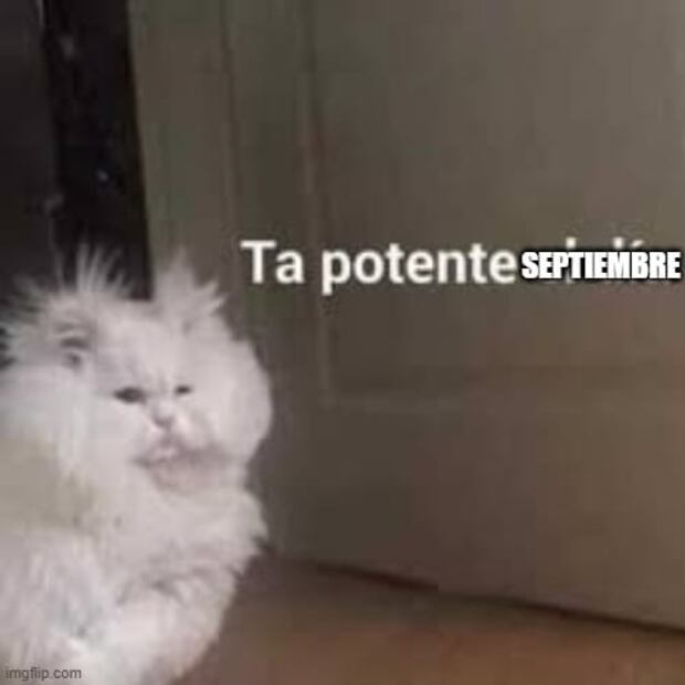 Los 10 mejores MEMES que dejó el sismo del 7 de septiembre de 2021