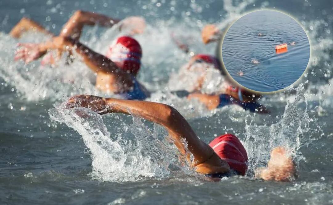 Un nadador desapareció en el agua casi para llegar a la meta. FOTO: Especial