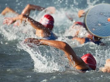 ¡Lamentable TRAGEDIA en plena competencia! Atleta pierde la vida ahogado casi al llegar a la meta