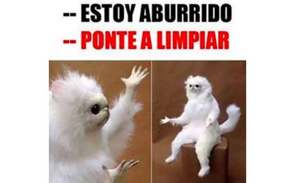 Día de las Madres: 10 lecciones de vida ilustradas con los mejores memes