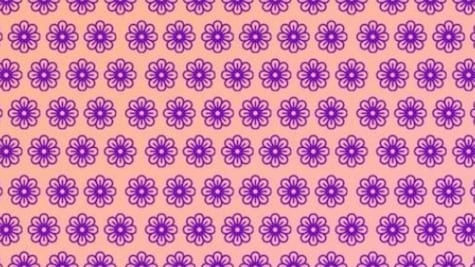 Solo una persona con una mente ágil puede encontrar la FLOR DISTINTA en solo 5 segundos