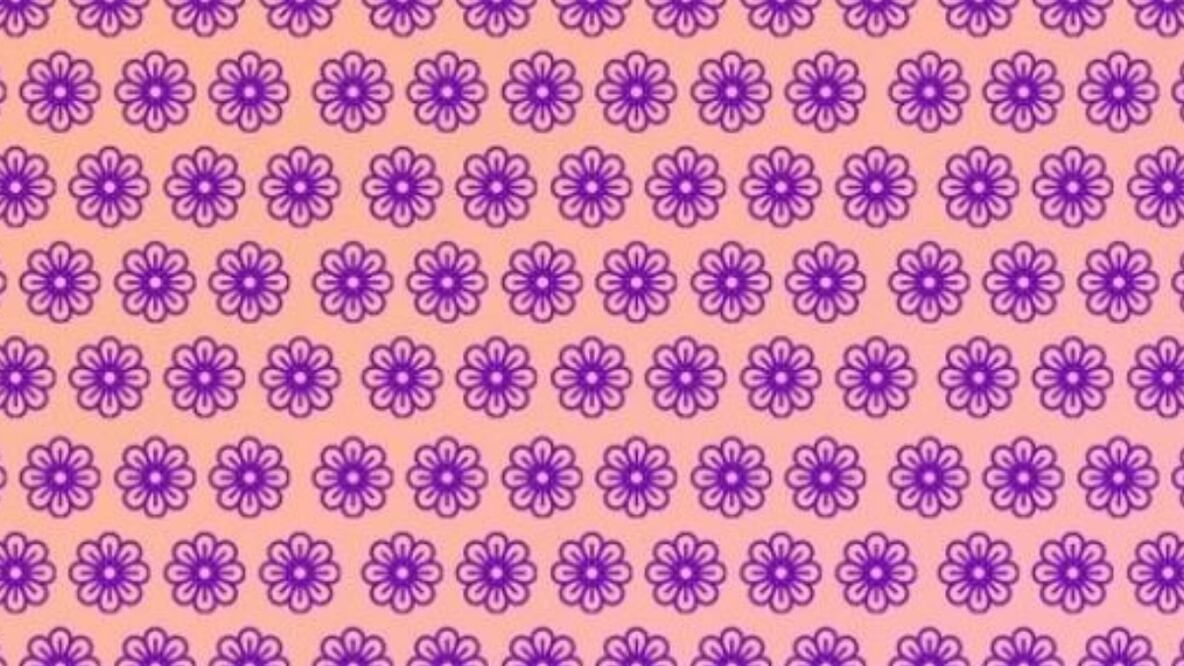 Desafío viral | Fuente: GenialGurú