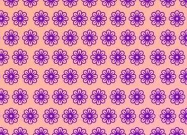 Solo una persona con una mente ágil puede encontrar la FLOR DISTINTA en solo 5 segundos
