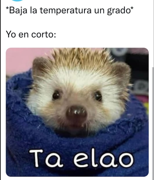 10 memes que nos representan en esta época de frío en México