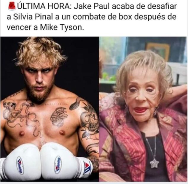 Julio César Chávez compartió este meme para burlarse del Jake Paul, a quien quiere enfrentar en el ring. FOTO: Captura
