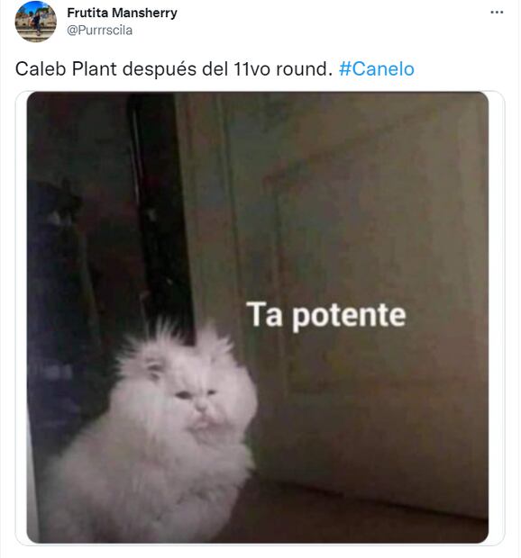 Los 10 mejores memes de la pelea entre Saúl “Canelo” Álvarez y Caleb Plant 