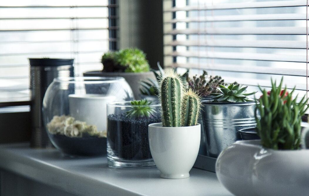 Foto: milivanily/Pixabay