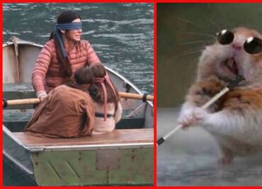 Bird Box: 10 memes para “entender” la cinta de Sandra Bullock