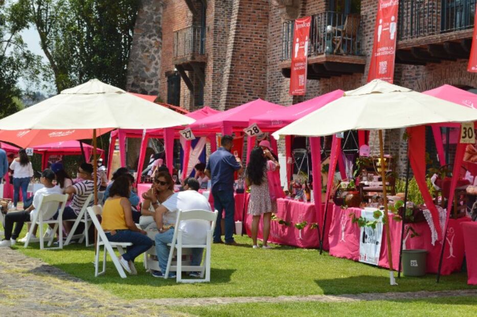 Horario, sede y fecha del Festival Intervinos en Valle de Bravo 2022