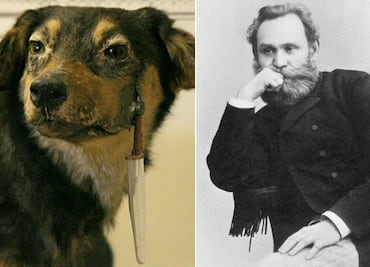¿De dónde viene la frase “como perro de Pávlov”?