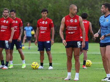 Chicharito Hernández se lesionó y no viajó a Zacatecas para jugar la Copa por la Paz