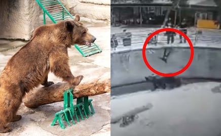 Video de mujer que lanza a su hija a la jaula de los osos causa indignación